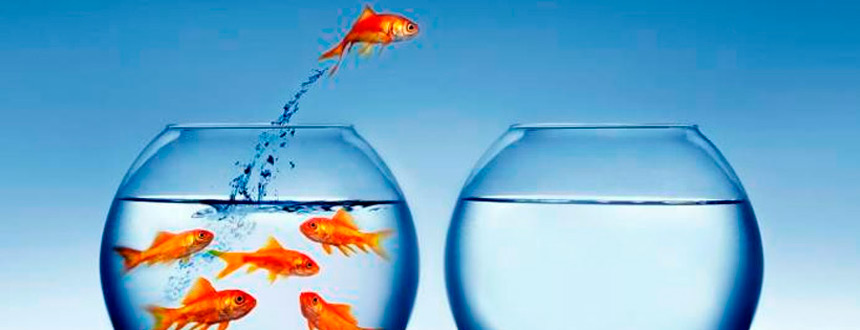 Innovación: cómo fomentar la creatividad interna