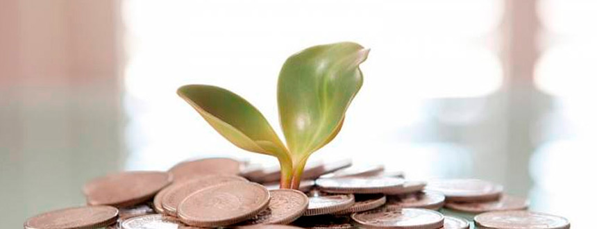 Cómo hacer para que un ángel inversor apueste por su empresa