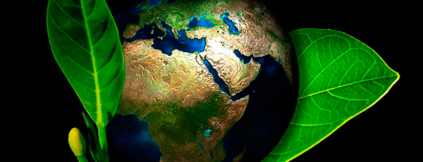 Cómo gestionar un plan exitoso de responsabilidad ambiental