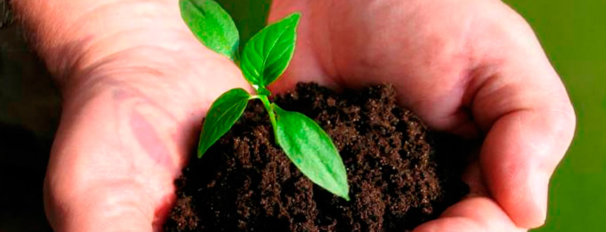 La sustentabilidad llega a las pymes