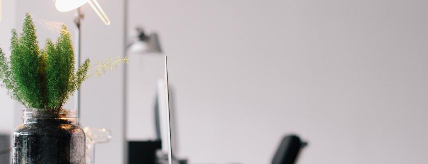 Empresas B, el lado luminoso de las pymes