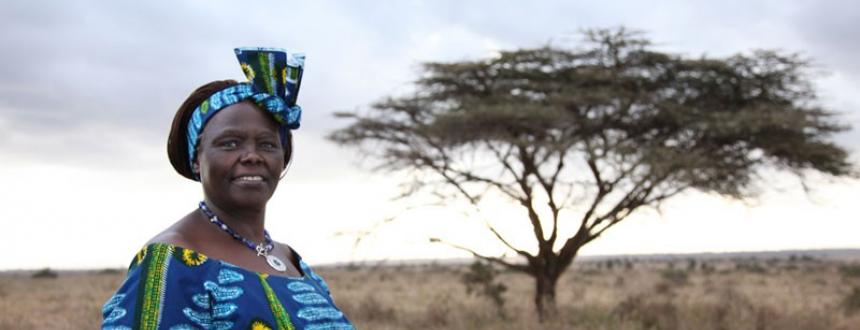 Wangari Maathai: la conmovedora historia de la ‘mujer árbol’ que llegó a Premio Nobel 