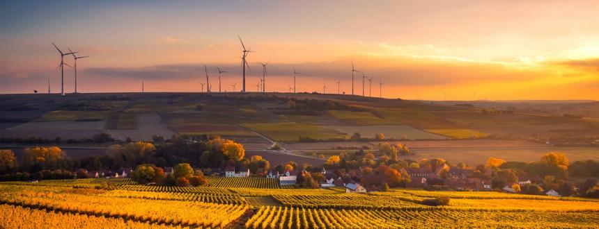 Nanotecnología y carne sintética, la última frontera del campo argentino