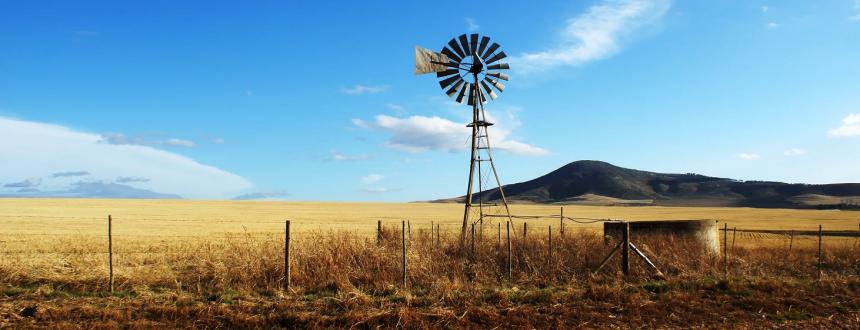 Negocios rurales, un campo de inversiones