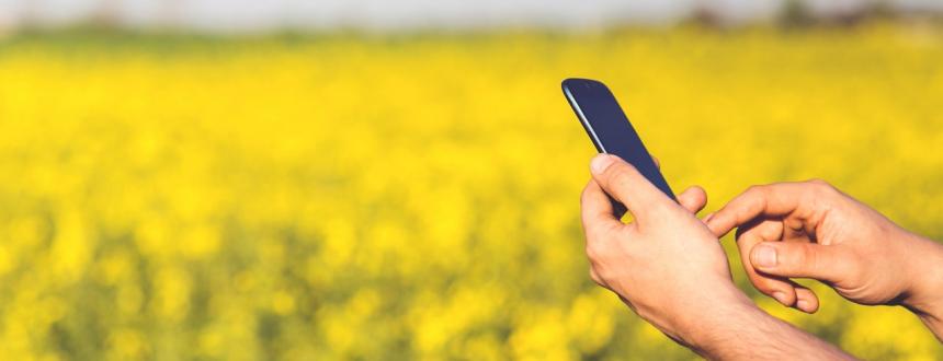 El IoT desembarca en el Agro con las redes de sensores de monitoreo